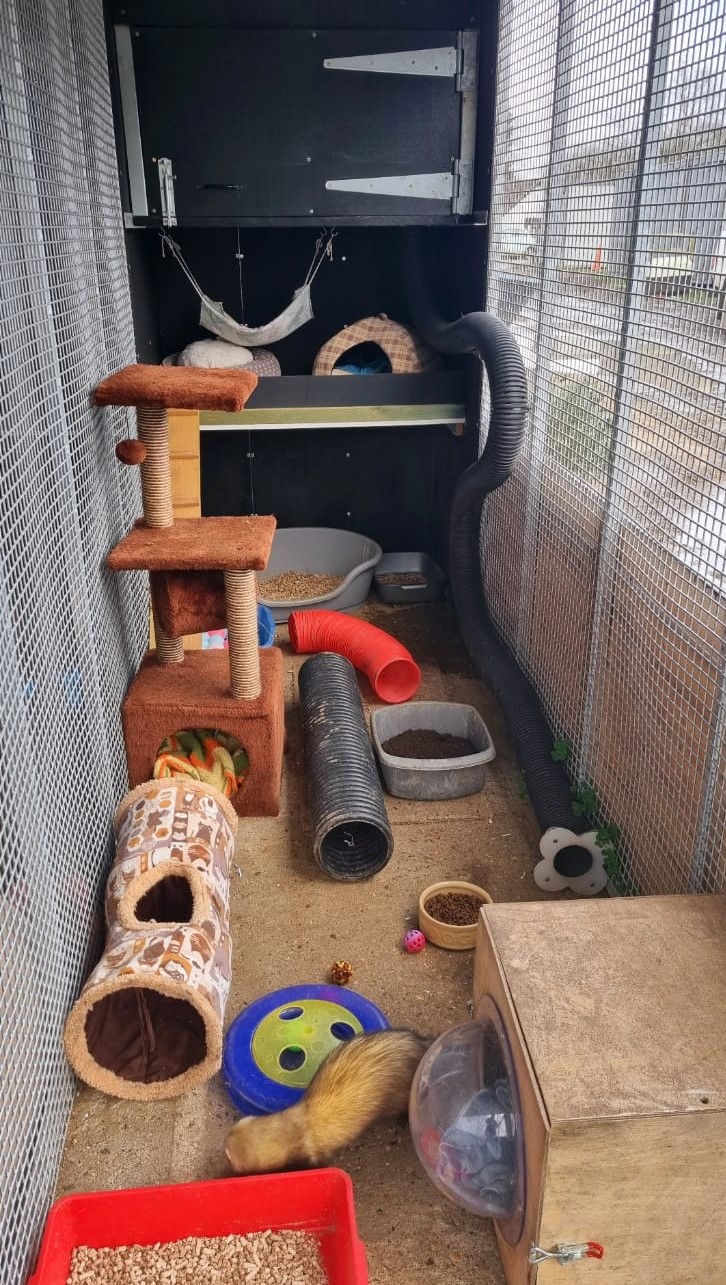 Outdoor deals ferret enclosure